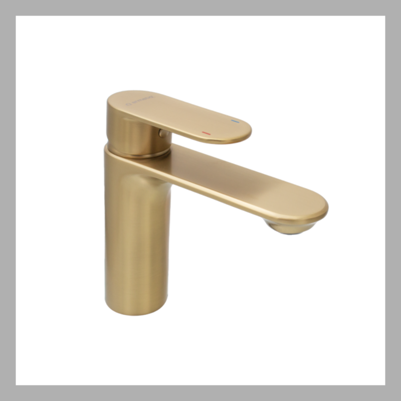 EVERPRO BATERIE ER-DG204K LAVOAR GOLD