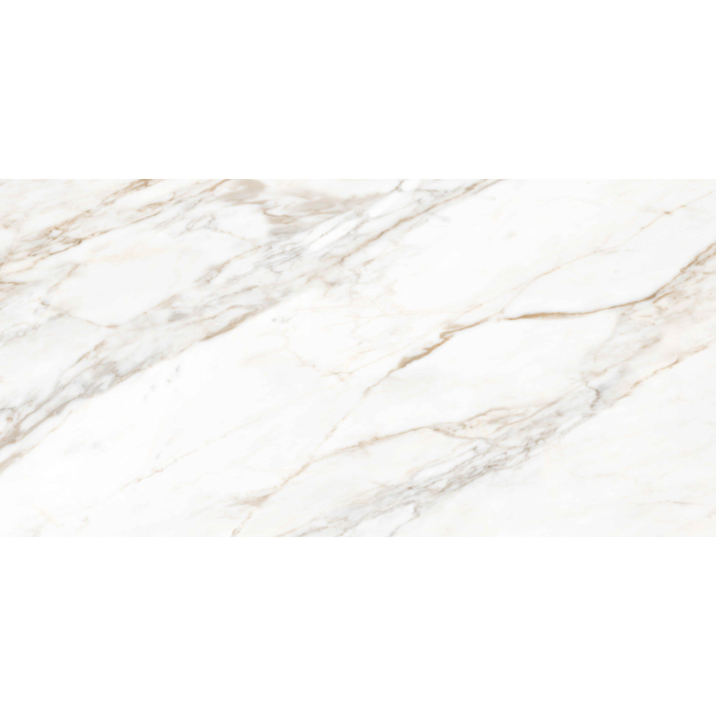 Gresie portelanata 120×60, RIGAL CARRARA - imagine 3