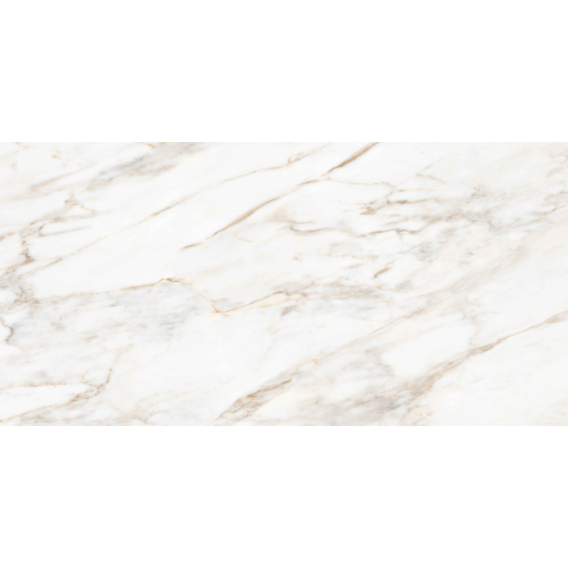 Gresie portelanata 120×60, RIGAL CARRARA - imagine 4